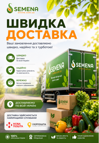 Бесплатная доставка