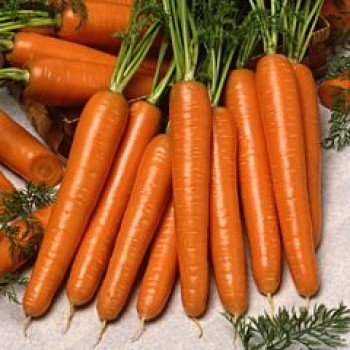 Карболі F1 насіння моркви (Seminis)