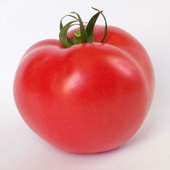 Китара F1 (KS 14 F1) семена помидора индетерминантного (Kitano Seeds)