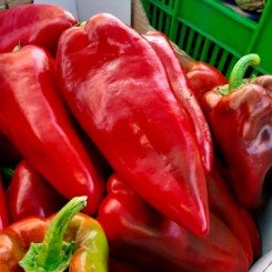 Капро F1 семена перца сладкого (Seminis)