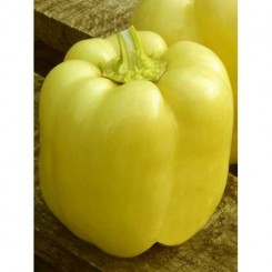 Боні насіння перцю солодкого (Lark Seeds)