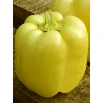 Бони семян перца сладкого (Lark Seeds)