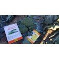 Самоа F1 семена капусты брокколи (Cora Seeds)