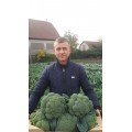 Самоа F1 семена капусты брокколи (Cora Seeds)