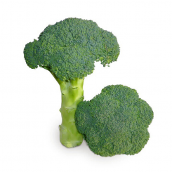 КС 355 F1 семена капусты брокколи (Kitano Seeds)