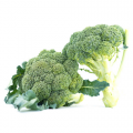 КС 355 F1 семена капусты брокколи (Kitano Seeds)