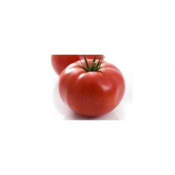 Эйфория F1 семена помидора индетерминантного (Syngenta)