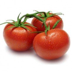 Корал насіння помідора детермінантного (Lark Seeds)