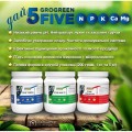 Файв МУЛЬТІ Гель (20-20-20+6Ca+3MqO+TE) удобрение (GroGreen)