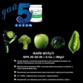 Файв МУЛЬТІ Гель (20-20-20+6Ca+3MqO+TE) удобрение (GroGreen)