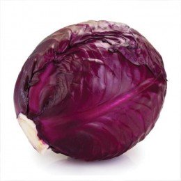 Киото F1 семена капусты красноголовой (Kitano Seeds)