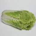 Яморі (КС 340) F1 насіння капусти пекінської (Kitano Seeds)