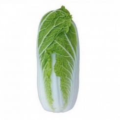 Тенсай (КС 374) F1 семена капусты пекинской (Kitano Seeds)