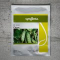 Еколь F1 насіння огірка партенокарп. раннього 40-42 дн. 8-12 см (Syngenta)