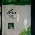 Грин Баннер семена лука на перо (Seminis)