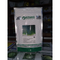 Вулкан семян лука на перо (Kitano Seeds)