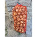 Медуза F1 насіння цибулі ріпчастої жовтої (Takii Seeds)