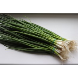 Кими семян лука на перо (Cora Seeds)