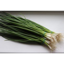 Кімі насіння цибулі на перо (Cora Seeds)