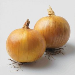 Титаниум – лук, 1 кг семян, Allium Seeds