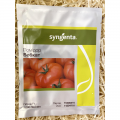Бобкат F1 семян помидора детерминантного (Syngenta)