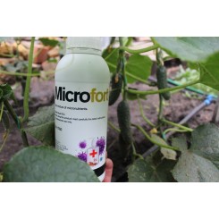 МикроФорт (MicroFort) – препарат с антибактериальными и дезинфицирующими свойствами