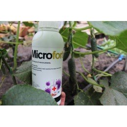 МикроФорт (MicroFort) – препарат с антибактериальными и дезинфицирующими свойствами