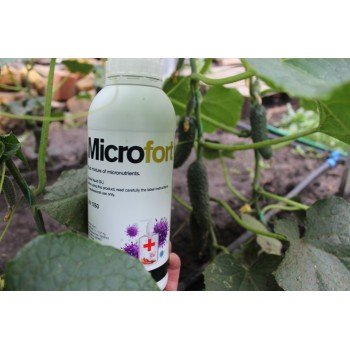 МикроФорт (MicroFort) – препарат с антибактериальными и дезинфицирующими свойствами