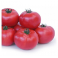 Кибо F1 (KS 222) F1 семена помидора индетерминантного (Kitano Seeds)