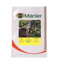 Моджо F1 насіння огірка (Mojo F1) Manier Seeds