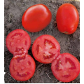 Дерика F1 (KS 720 F1) семена помидора детерминантного (Kitano Seeds)