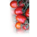 Дерика F1 (KS 720 F1) насіння помідора детермінантного (Kitano Seeds)