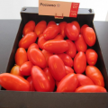 Позно F1 Organic семена помидора индетерминантного (Enza Zaden/Vitalis)