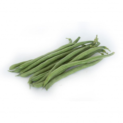 ПЛ 117 (PL 117) семена фасоли спаржевой кустовой средней 67 дней зел. (Bakker Brothers)
