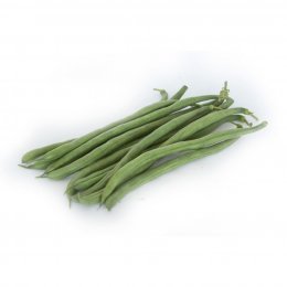 ПЛ 117 (PL 117) семена фасоли спаржевой кустовой средней 67 дней зел. (Bakker Brothers)
