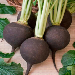 Сквирская Черная семена редьки (Satimex)