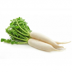 Миновые семена редьки (Satimex)