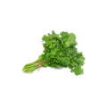 Маріно Organic насіння коріандру (кінзи) (Enza Zaden/Vitalis)