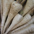 Петя насіння пастернаку (Satimex)