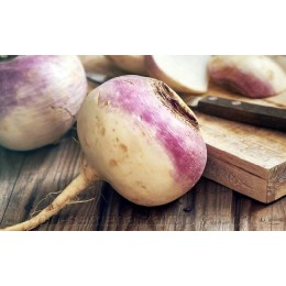 Самсон насіння турнепсу (Satimex)