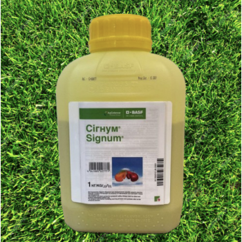 Фунгицид Сигнум – BASF