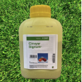 Фунгіцид Сігнум – BASF