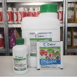 Фунгицид Свитч – Syngenta