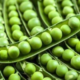 Смарагдове насіння гороху