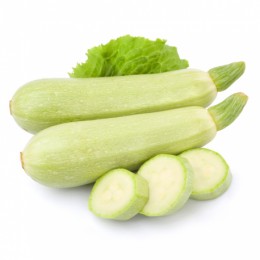 КС 112 F1 семена кабачка (Kitano Seeds)