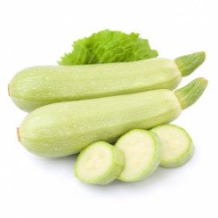 КС 112 F1 семена кабачка (Kitano Seeds)