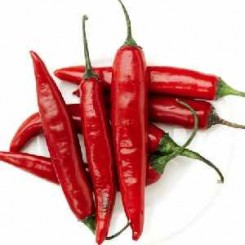 КС 488 F1 насіння гіркого перцю (Kitano Seeds)