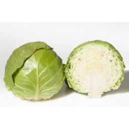 Ортус F1 насіння капусти білокачанної (Takii Seeds)