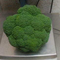 Громовий купол F1 насіння капусти броколі (Takii Seeds)