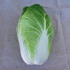 Лада насіння капусти пекінської